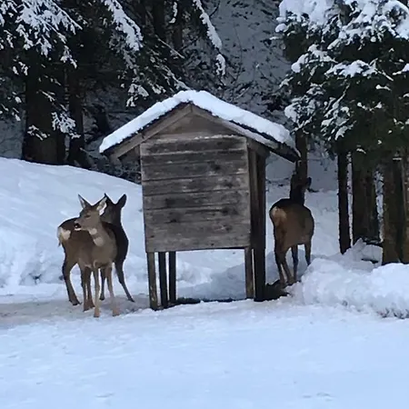 Bacher Oberkumbichl 900 Διαμέρισμα *